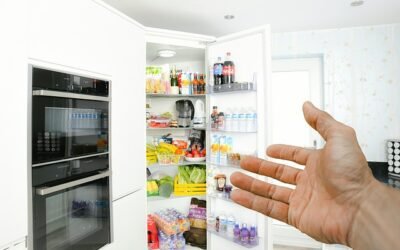 Leftover Foods Storage Tips